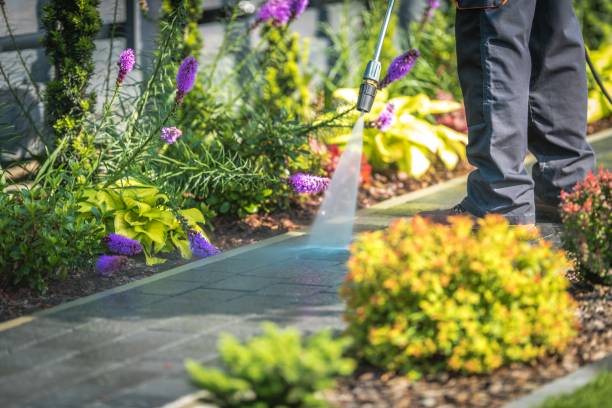 Best Dumpster Area Cleaning  in Tumter, WA