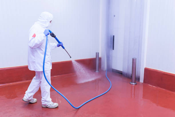 Best Pre-Holiday Cleaning  in Tumter, WA